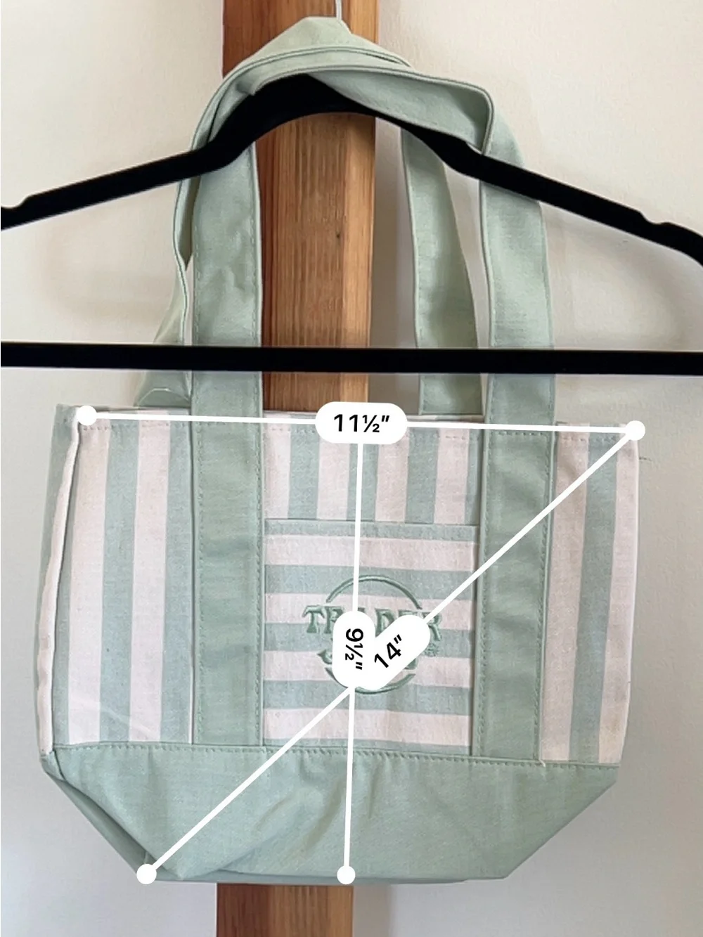 Trader Joe's Striped Mini Canvas Tote in Sage Green